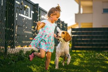 Baby girl running with beagle dog in backyard in summer day. Domestic animal with children concept.
