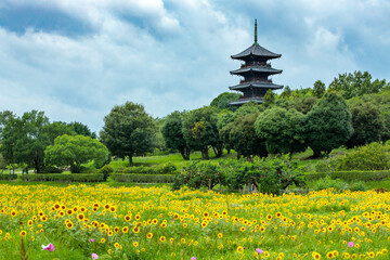 備中国分寺とひまわり畑
