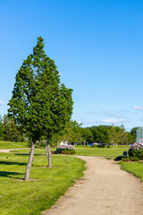 trees along a pathway in a public park in Saskatoon Saskatchewan with purple lilac bushes and a bench for resting in the background