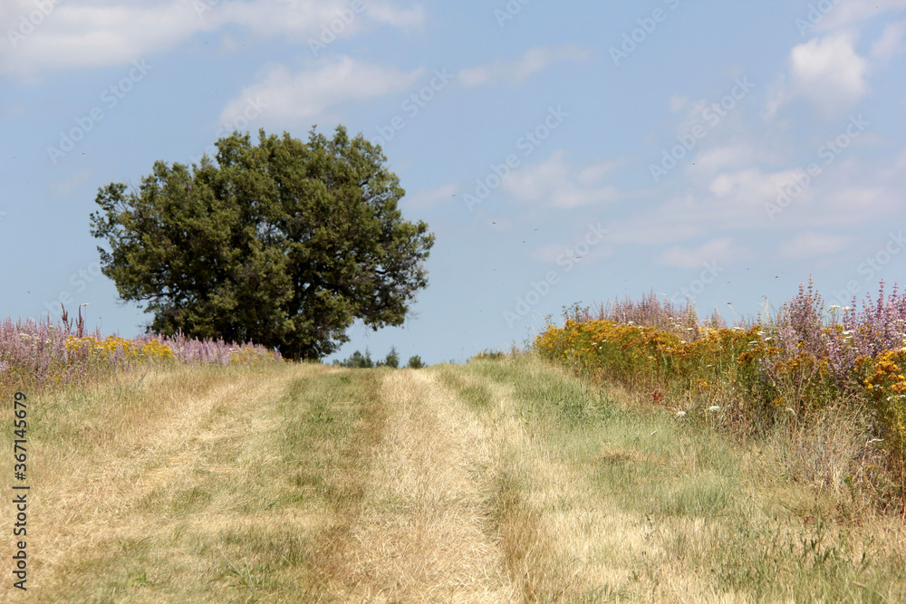 Poster en haut du chemin