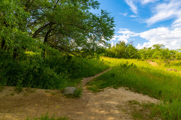 Beautiful views of nature along a hiking trail beside the South Saskatchewan River near Saskatoon Saskatchewan, Canada