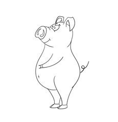 Cartoon pig drawing