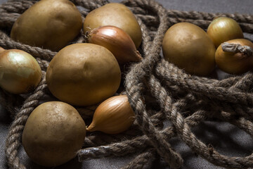 Potatoes and onions. Young potatoes and onions lie on a rope and sackcloth. Harvesting concept.