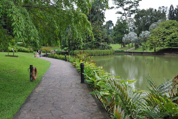 path in the park garden