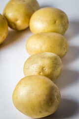 The potatoes lie in two rows on a white background. New potatoes. Harvesting. Agriculture