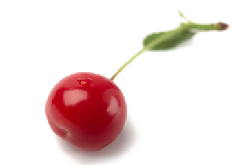 One cherry berry on a white background