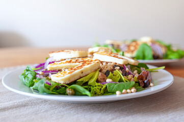 Fresh and healthy vegetable salad with chunks of grilled halloumi goat cheese on top.