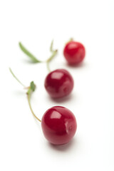 Three cherries on a white background