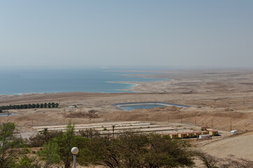 The Botanical Garden at Kibbutz Ein Gedi