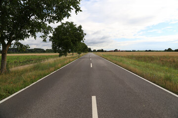 Rural asphalt road will land in the horizon