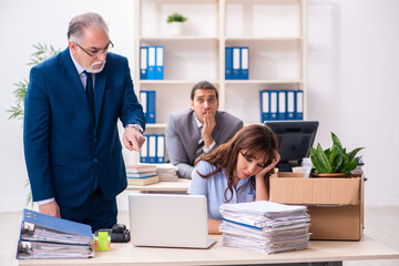 Two male and one female employees working in the office