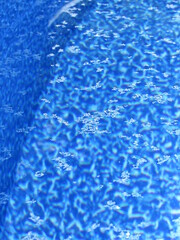 Pollen and debris on the surface of water in a pool with a blue liner 