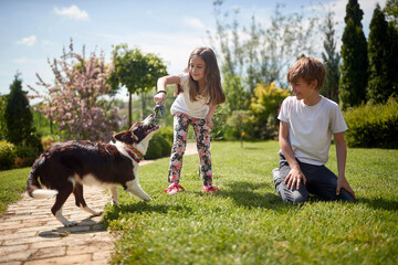 minor boy and girl playing with their dog outdoor