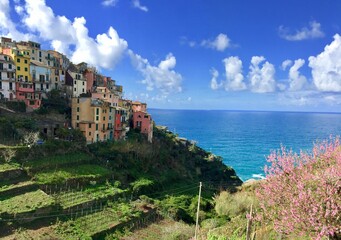 Fototapeta na wymiar panoramic view of Corniglia one of the Cinque terre villages, Liguria, Italy