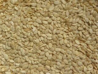 White color raw hulled Watermelon seeds 