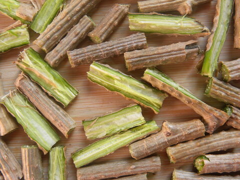 Diced cut Giloy or Tinospora cordifolia stems