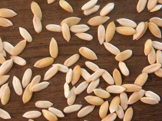 White color raw whole dried Muskmelon seeds