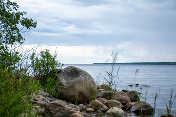 Fototapeta na wymiar Green grass grows on the shore of Lake Ladoga, Russia