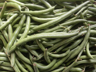 Green color raw whole French beans