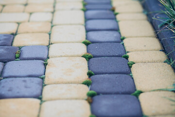 Nested pavers of various colors, around the grass is green, chic garden