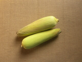 Green color whole raw Sweet corn cobs with husk