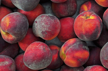 Background from peaches lying in an aluminum bowl. Harvested. Let's make jam.