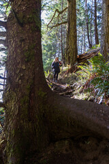 Hiking the Oregon coast