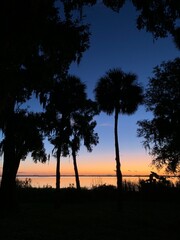 palm trees at sunset, lake, sunset