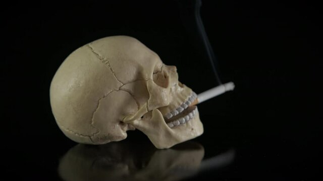 Chain smoker. Human skull with a cigarette in its teeth. Death from cigarettes.