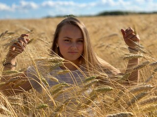 beautiful woman walks in a field with ears, takes pictures in a wheat field
