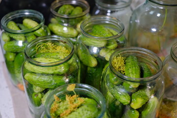 Canned pickled cucumbers in jars. Homemade food