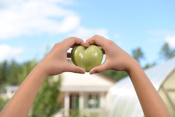 Women's hands in the shape of a heart hold a green tomato. Tomato in women's hands on the background of the cottage area. Green tomato against the blue sky.