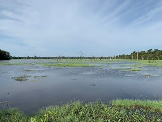 Lac à Angkor, Cambodge