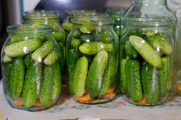 Canned pickled cucumbers in jars. Homemade food