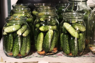 Canned pickled cucumbers in jars. Homemade food