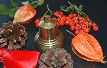 Autumn composition with vintage bronze bell,  cape gooseberries, ash berries, pine cones against black background as concept for back to school time, 1 September or festive events 