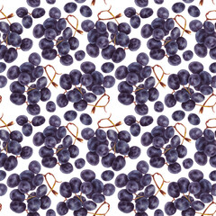 Watercolor colorful pattern with  
branches of grapes . White background.