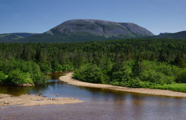 mountain river in the mountains