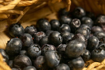 Blueberry in a wicker basket on a background of homespun fabric with a rough texture. Close up.