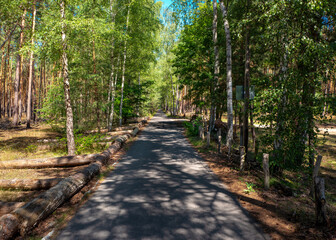 Waldweg
