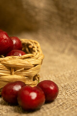 Ripe juicy cherries in a wicker basket and cherries scattered on a homespun fabric with a rough texture. Close up.