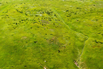 View of the panorama of the Carpathian Mountains