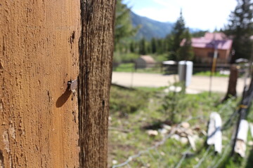 St Elmo Ghost Town Colorado