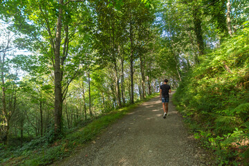 Fototapeta na wymiar Wide shot of a young man taking a walk on a path in a forest, one summer afternoon, horizontal