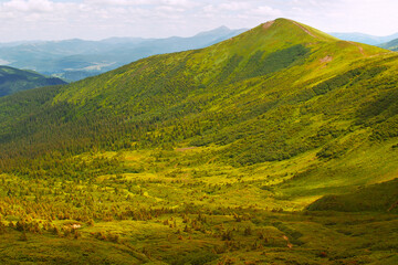 Obraz premium View of the panorama of the Carpathian Mountains