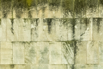 Grunge cinder block wall with stains from green mold.