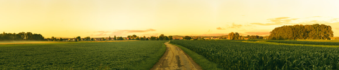 Beautiful landscape with road, green corn fields and sunset sky
