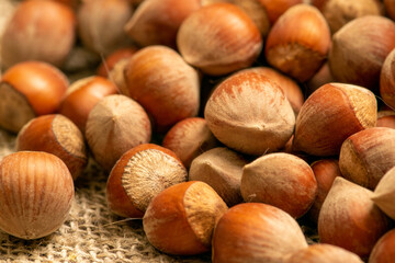 Hazelnut scattered on a background of homespun fabric with a rough texture. Close up.