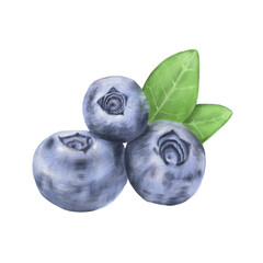 Realistic illustration of blueberry or bilberry with leaves isolated on white background. Hand-drawn by computer graphics. To create designs for food, yoghurt, food additives, cosmetics, care products