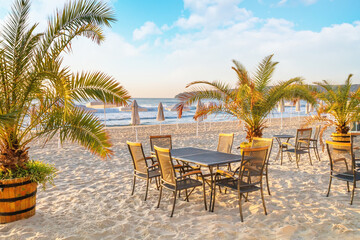 Coastal landscape - view of the beach with beach furniture, palm trees and umbrellas, city of Varna, on the Black Sea coast of Bulgaria - obrazy, fototapety, plakaty